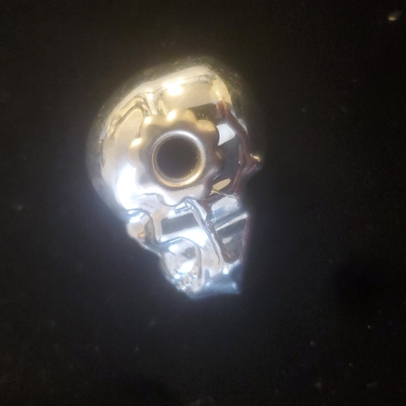 New Silver Titanium Skull Pendant. - Picture 5 of 12